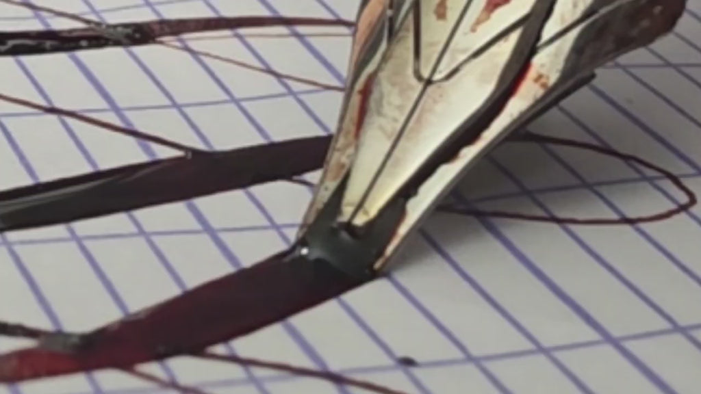 Stacked-Flex Nib