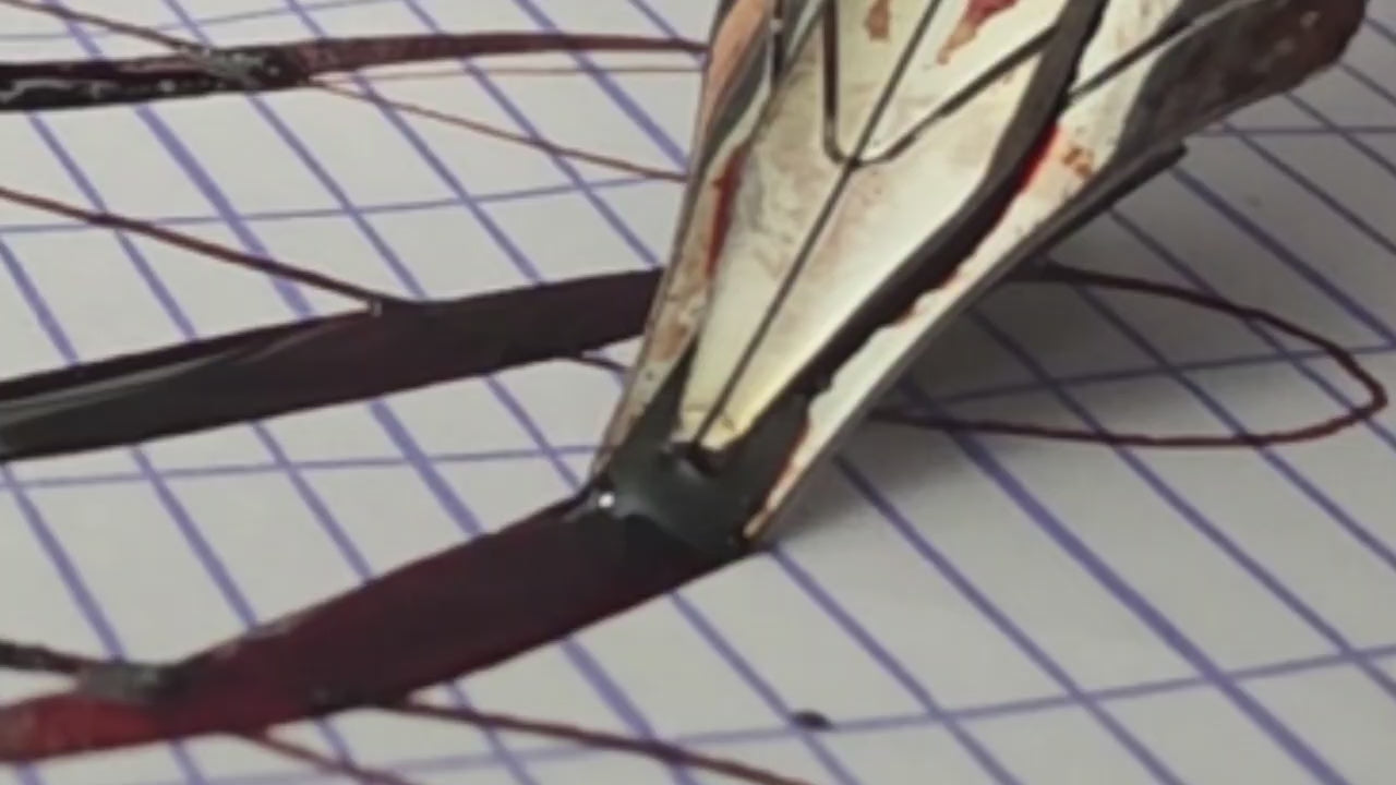 Stacked-Flex Nib