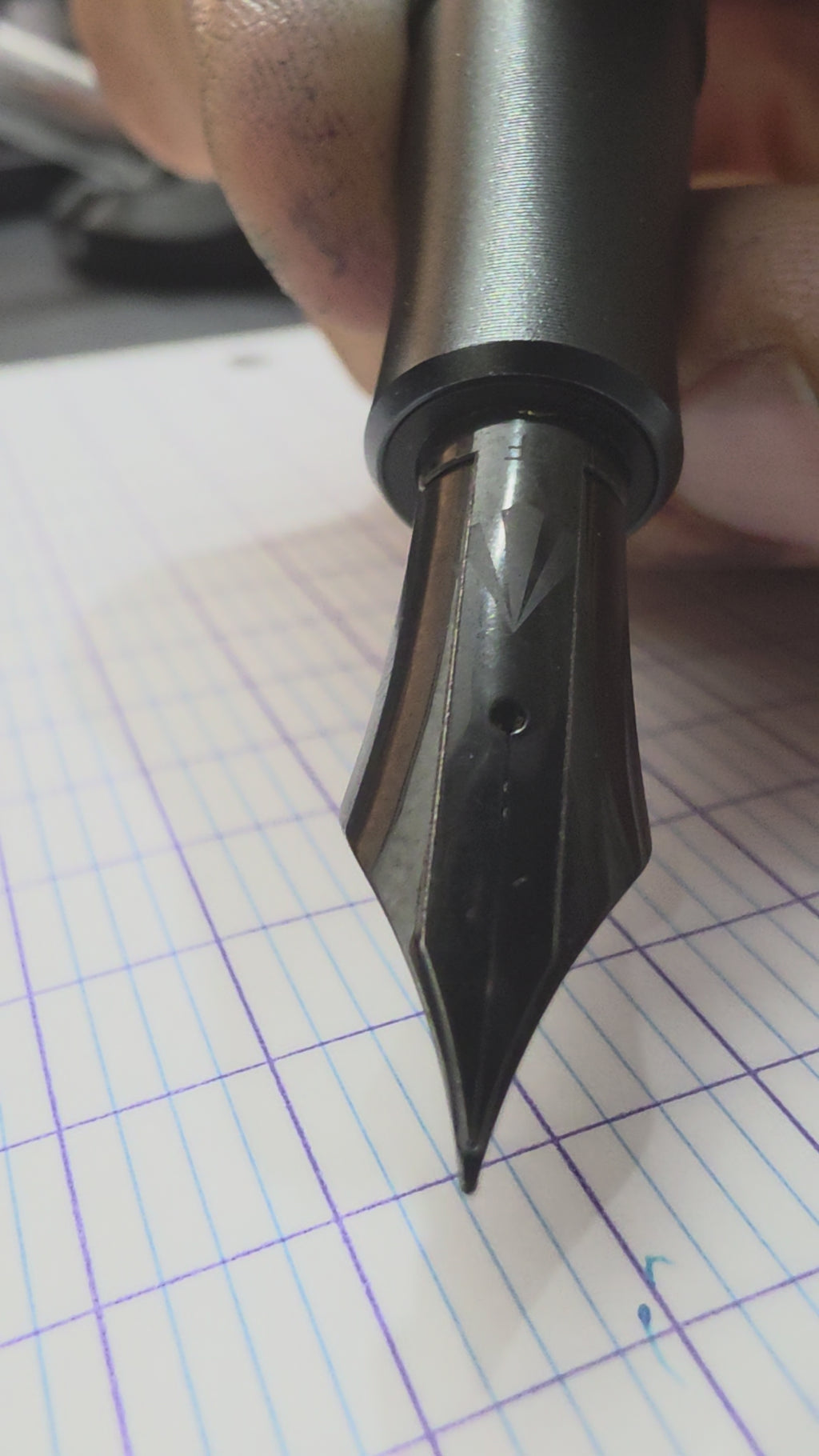 Flex Pen Package [Gravitas Monster steel flex, Monster with Pelikan M1000, Jowo 6 14K flex, jowo 6 steel flex, and Pelikan M800 flex nib unit.