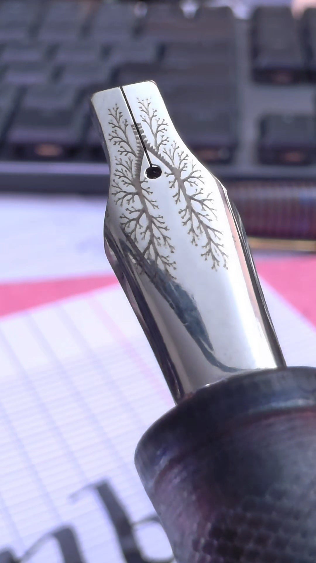 5 mm 2 Layer Signatur Nib